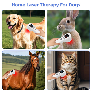 Máquina Portátil <span class=keywords><strong>de</strong></span> Terapia con Láser Frío <span class=keywords><strong>de</strong></span> 650nm con Luz Roja <span class=keywords><strong>para</strong></span> Alivio del Dolor <span class=keywords><strong>de</strong></span> <span class=keywords><strong>Rodilla</strong></span> y Espalda, Lesiones Deportivas y <span class=keywords><strong>Fisioterapia</strong></span> Veterinaria - Product Image 5