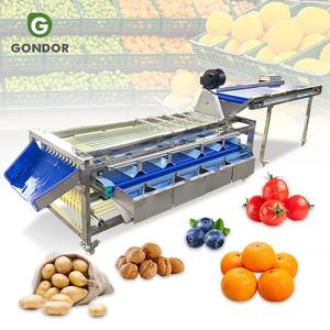 Máquina clasificadora y seleccionadora de tomate agrio, dátiles y cerezas artificiales industriales por peso, a la venta - Product Image 1