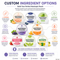 Pochettes buccales nootropiques en gros avec vitamine B12, saveurs multiples de fruits, portables, pour soutenir la mémoire, complément alimentaire quotidien pour adultes