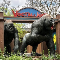 Ensemble de sculptures de gorilles grandeur nature personnalisées, statues de singes réalistes en résine pour la décoration de jardins et de zoos en extérieur