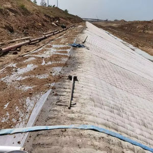 Tessuto geotessile materasso stampo in calcestruzzo materasso pieno borsa per la protezione del pendio prodotti sterro - Product Image 1