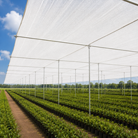 Filet d'ombrage blanc en HDPE résistant aux UV, maille respirante 30%-95% pour serre, ferme, pépinière, agriculture