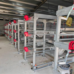 Cage à batterie automatique à 4 niveaux <span class=keywords><strong>pour</strong></span> 80 poules pondeuses, équipement d'élevage avicole <span class=keywords><strong>pour</strong></span> poulets de chair et poules pondeuses - Product Image 1