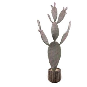 Cactus <span class=keywords><strong>de</strong></span> pêche artificiel en plastique, plantes en pot pour la création <span class=keywords><strong>de</strong></span> paysages, grandes plantes cactus - Product Image 1