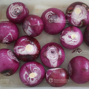 Industrial Onion Process Line Onion Head Tail Cutting, Skin Peeling, Onion <b>Ring</b> Slicing Machine - Product Image 5