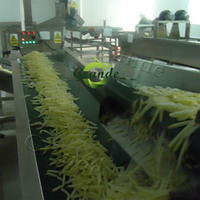 Bevroren Semi-Gebakken Aardappel Productielijn Kleine Productielijn Frietjes Aardappel Chips Lijn Spiraal Aardappel Snijder