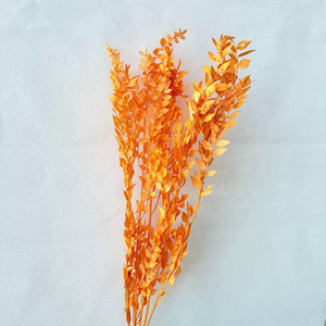 <span class=keywords><strong>Hojas</strong></span> de Ruscus Preservadas y Blanqueadas, Material para Decoración del Hogar, Manualidades, Arreglos Florales para Bodas/Fiestas - Product Image 3