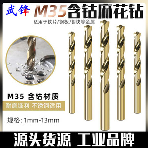 Fuxin Twist Drill <b>Bit</b> 10mm Gold Finish Straight Shank For Metal Drilling Home Use - Product Image 5