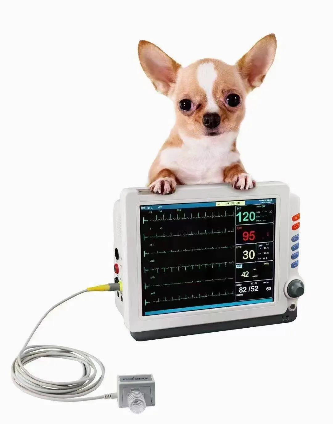 Monitor veterinário portátil de anestésia, equipamento multiparâmetro para uso clínico de animais e veterinários