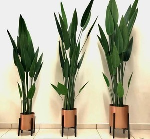 Linwoo Paradise Palm Planta en maceta artificial Certificado UV Material de imitación Tamaño pequeño a grande Bird of Paradise Flower Tree - Product Image 3
