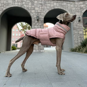 Veste d'hiver confortable et réfléchissante pour animaux de compagnie, imperméable, pour chiots et lévriers, en polyester gris uni, idéale pour le printemps - Product Image 5