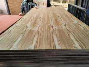 E0 E1 contreplaqué commercial noyau d'eucalyptus 9mm 17mm panneaux de placage pour meubles en bouleau WBP colle mélamine surface - Product Image 5