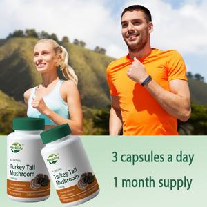Suplemento de Extracto de Hongo Cola de Pavo Orgánico OEM/ODM - Apoyo Inmunológico - Sin OMG, Apto para Veganos, Sin Gluten - 90 Cápsulas - Product Image 4