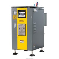 Chaudière à vapeur électrique pasteurisée automatique, utilisation industrielle, basse pression, style vertical, économie d'énergie, tube à feu naturel