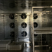 Gloednieuwe PLC-gestuurde droogoven voor verwarming & koeling, met snelle droging, energiebesparend en dubbel gebruik voor de verwerking van fruit & groenten