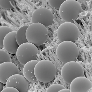 Amino-Functionalized Magnetic <b>Beads</b> | Polystyrene Microsphere Base - Product Image 1