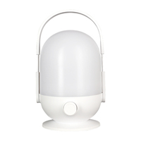 Lanterne de camping d'urgence rechargeable LED DP Chine, lampe portable USB Type-C