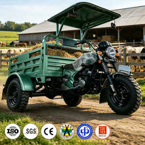Nouveau <span class=keywords><strong>Tricycle</strong></span> à Moteur à Essence à Trois Roues pour Adultes, Haute Vitesse, Moteur 150cc 200cc, Boîte de Transport à Charge Lourde - Product Image 1