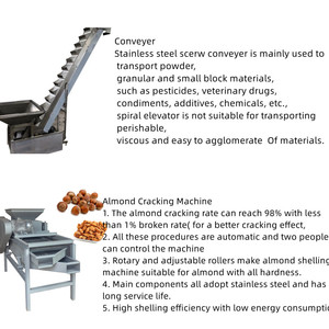 Machine industrielle automatique de décorticage des noix en acier inoxydable pour amandes, noisettes et noix - Product Image 5