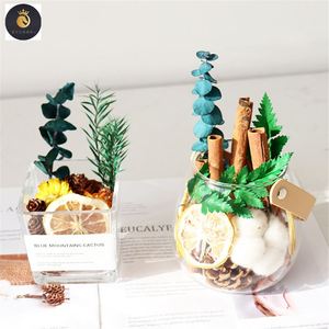 M208 venta al por mayor difusor de aromaterapia accesorios vela perfumada mezcla de limón canela plantas flores secas naturales cartón Shandong - Product Image 3