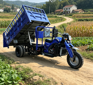 Tricycle à essence à trois roues pour le commerce extérieur, véhicule agricole spécial à trois bungees pour le transport de marchandises et la livraison à domicile - Product Image 2