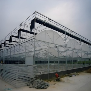Serre agricole multi-spans de grande taille pour tomates, avec couverture en polycarbonate et structure métallique, <span class=keywords><strong>prix</strong></span> compétitif, horticulture YPWS YPLK-18 - Product Image 6
