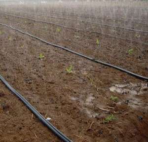 Système d'irrigation à <span class=keywords><strong>tuyau</strong></span> de pluie 1ha kit <span class=keywords><strong>tuyau</strong></span> de pulvérisation plat <span class=keywords><strong>tuyau</strong></span> de pluie <span class=keywords><strong>souple</strong></span> système d'irrigation agricole tube de pluie - Product Image 5