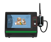 Thérapie laser vétérinaire de classe 4 pour la physiothérapie, appareil de thérapie laser pour animaux 635nm-1064nm, 30w 45w 60w pour les cliniques