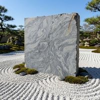 Granit Noir Gris Naturel avec Veines Blanches Beiges, Finition Brossée, Écologique, Moderne, Grandes Dalles et Demi-Dalles, Marque TY, Villa Park Shandong Total