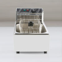 Friteuses électriques en acier inoxydable Machine à frites commerciale fritadeira papas freidoras friteuse freidora Friteuse 6L