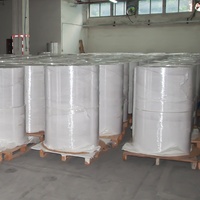 Papier thermique vierge imprimé clair de qualité supérieure, prix d'usine, rouleau jumbo 45/48/55/65 g/m²