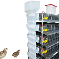 Système de cages d'élevage de cailles modulaire avec alimentation automatisée et collecte des œufs pour les fermes avicoles