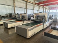 Automatische Clapboard-scheidingsmachine met automatische verzamelaar voor flessen, fruit en kleine onderdelen, met afzonderlijke bescherming