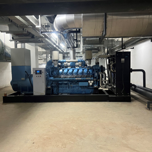 Générateur Weifang de haute qualité, best-seller, avec système de refroidissement par eau, triphasé 60Hz 230V 480V, prix d'usine - Product Image 3