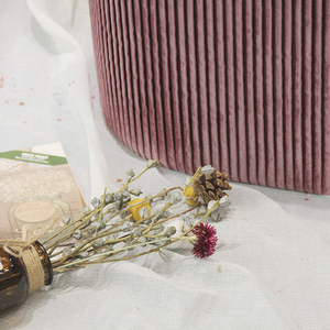 HStex grand velours <span class=keywords><strong>canapé</strong></span> simple meubles <span class=keywords><strong>canapé</strong></span> <span class=keywords><strong>pouf</strong></span> pied tabouret avec rangement chambre chambre rose poufs banc - Product Image 4