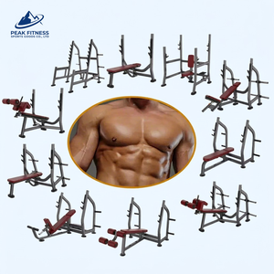 Set Completo di Pesi Piatti in Acciaio PK con Funzioni di Sicurezza Regolabili per Allenamento di Braccia, Petto, Gambe e Schiena, Uso Commerciale - Product Image 1