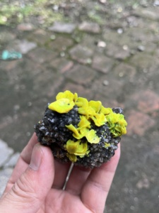 ของที่ระลึกกีฬา คริสตัลพอยต์ หินเรืองแสงสีเขียว ออตไนต์ - Product Image 6