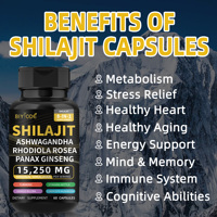 Jiabeikang, fabricant professionnel, vente en gros de capsules de Shilajit 8 en 1 à base d'Ashwagandha, de Rhodiola Rosea, de Ginseng, de Curcuma et de Ginkgo.