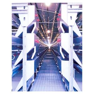 Nouveau produit phare : Système de cages à poules pondeuses automatiques Zhuoyi de type H <span class=keywords><strong>en</strong></span> acier galvanisé à chaud, long format - Product Image 3