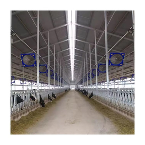Gran oferta, estructura de acero, cobertizo para vacas, edificio de granja de acero prefabricado, Granero de caballos, diseño de Casa de <span class=keywords><strong>vaca</strong></span> - Product Image 2