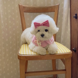 Korean style new cute plaid <b>rabbit</b> cape/cloak for pets, cats and dogs, drool bibs, decorative plaid - Product Image 4