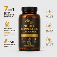 Capsules MAN PLUS EXTRA avec Vitamine C – Énergie Naturelle & Soutien Immunitaire pour Hommes Adultes – Vente Directe Usine, Faible MOQ & OEM