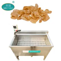 Electric Oil Water Frying Fryer Machine for Fried Food