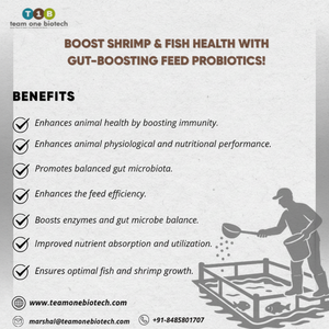 Additif alimentaire pour étang d'aquaculture Supplément probiotique - Product Image 1