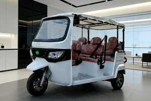 <span class=keywords><strong>Taxi</strong></span> public au meilleur <span class=keywords><strong>prix</strong></span> pour le tourisme, tricycle certifié UE, TUKTUK E Trike - Product Image 3