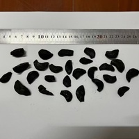 Ail noir en gousses pelées, poudre/d'huile d'ail noir, ail noir à prix abordable