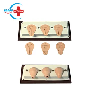 Mô hình đào tạo phụ khoa HC-S322 mô phỏng phá thai nhân tạo tiên tiến của tử cung - Product Image 1