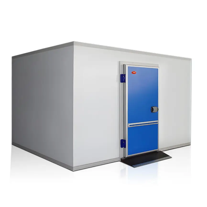 Small Container Walk In Freezer Unit Cold Room Commercial Refrigeration Cold Storage For Fish Meat Vegetables