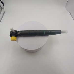 EJBR04601D convient à l'injecteur de carburant Double Dragon <span class=keywords><strong>Landi</strong></span> 2.7T Delphi A6650170321 Lester cinq cylindres - Product Image 4