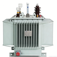 Transformateur immergé dans l'huile amorphe triphasé Yaoyi SH15 à haute protection, 50-2500 kVA, 50/60 Hz, bobine toroïdale, large plage de température